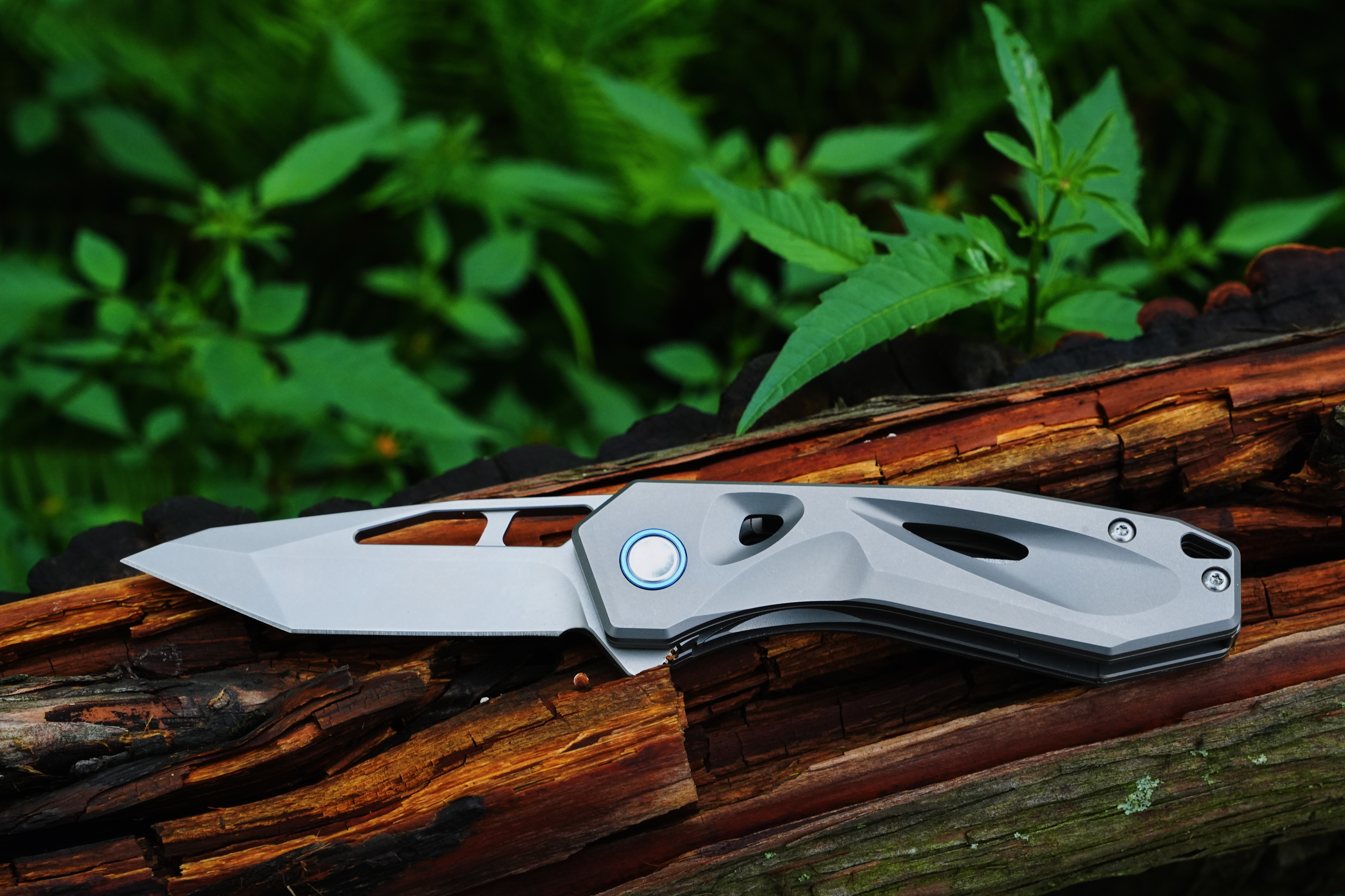 SOON titanium folding knife in a forest setting